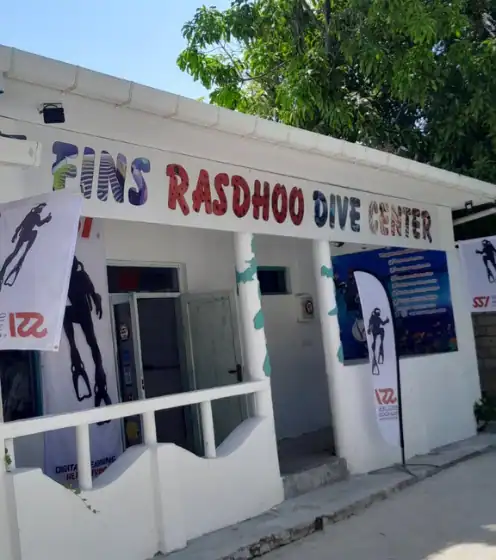 Diving in Rasdhoo Atoll with Fins Rasdhoo Dive Center